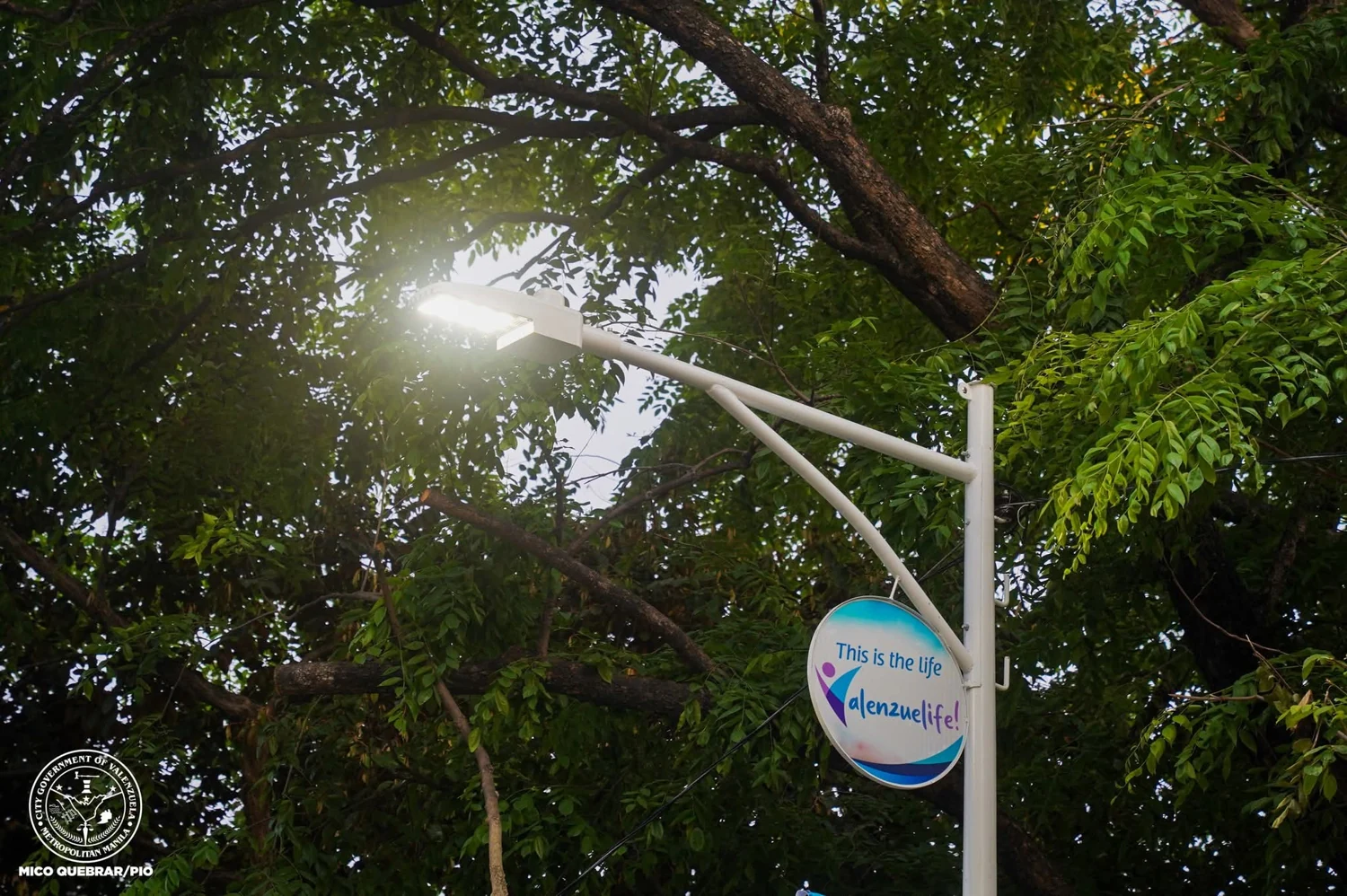 Lighting along a tree-lined section · Valenzuela City | MICO QUEBRAR/PIO
